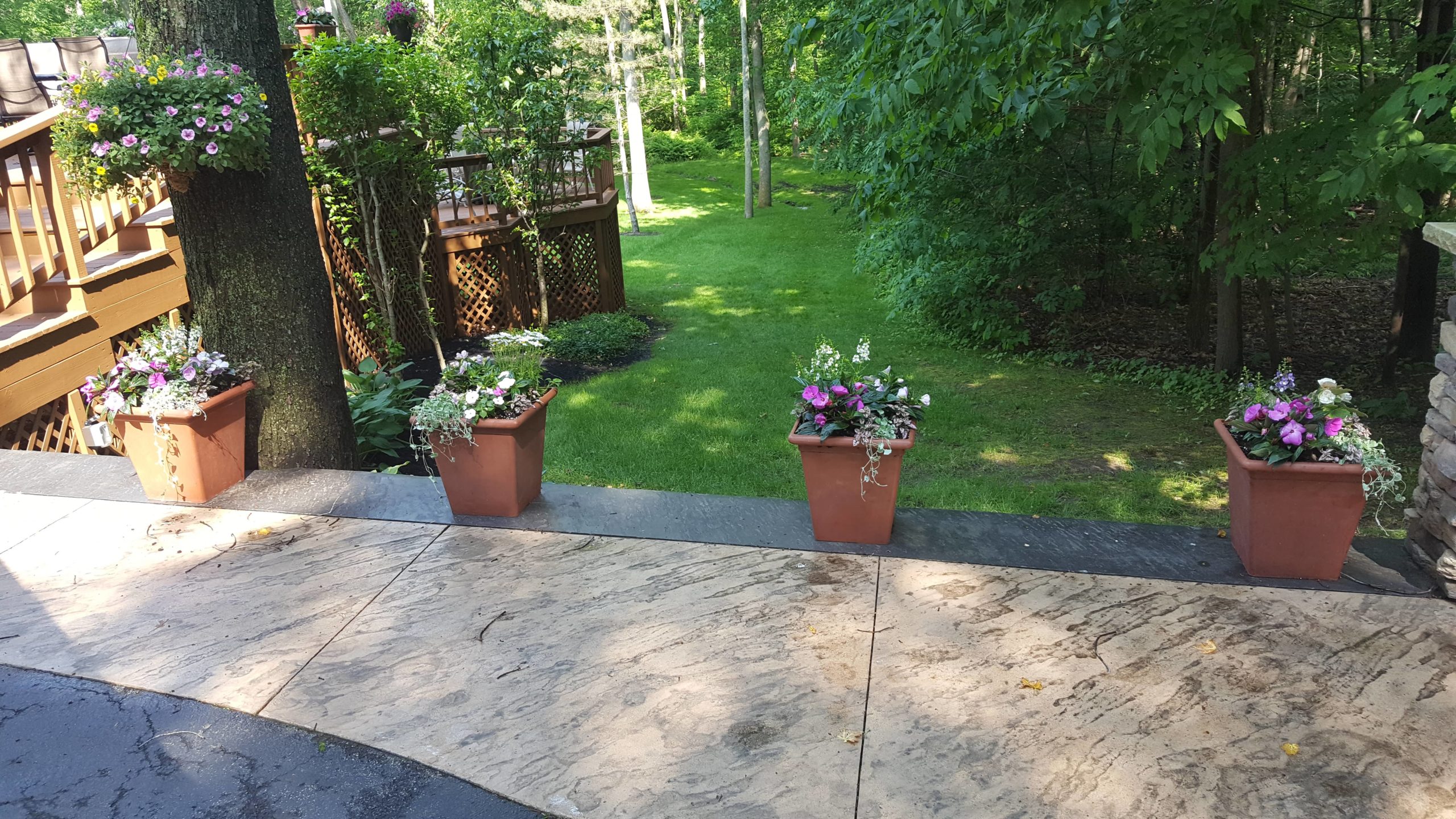 Flower Pots